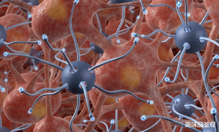 生物学家 人类实现延缓衰老指日可待？生物学家发现控制人类生长激素的因子