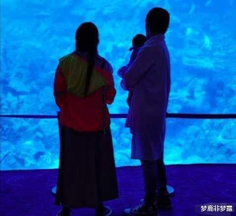 郭碧婷|产后7个月的郭碧婷被拍，网友们群嘲：昔日女神跌落神坛