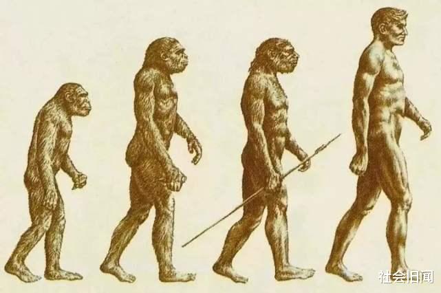 人类进化过程中,只留下了上面和下面的毛发,却成功解锁特殊的用法