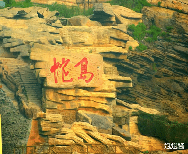 斌斌酱|大连蛇岛是怎样存在的？据说上面有两万条蛇，如果放两只蜜獾上去，能将蛇吃完吗？