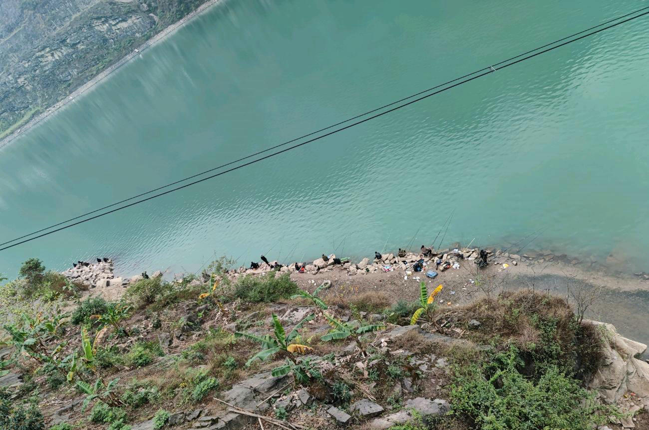 金沙江|金沙江边野钓狂欢, 一天钓鱼数百斤! 有人彻夜不眠, 只因放生数十吨