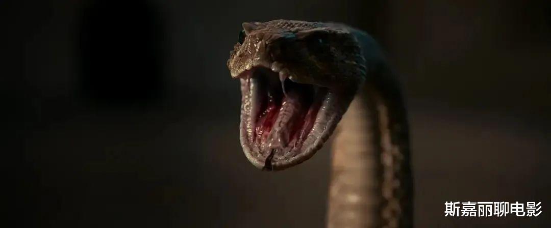 耶稣|《本能》导演新作，尺度大到怎么剪都不可能在内地上映