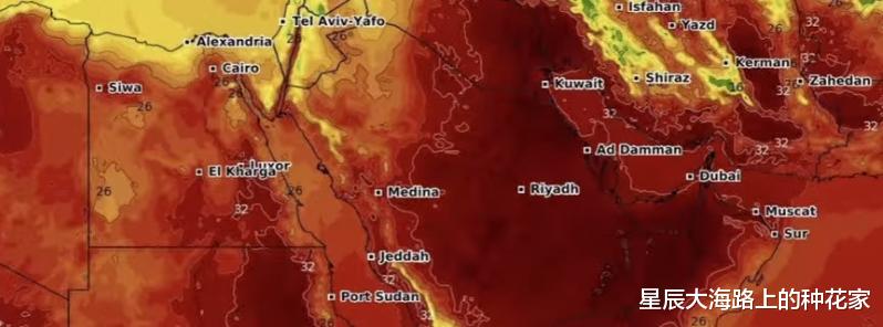 50度高溫襲擊沙特！2021，地球到底是怎麼瞭？-圖7