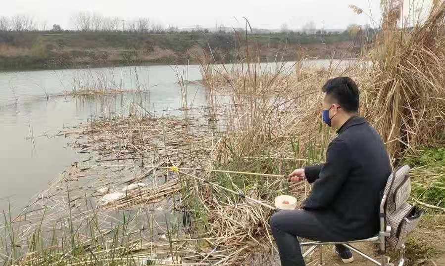 水库|热天必备！这鲤鱼钓法简单易上手，高手们都在用
