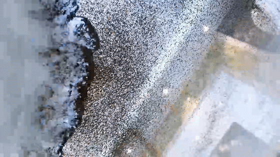 家里总“落灰”?学阿姨这样做:不用抹布、吸尘器,轻轻松松一尘不染!