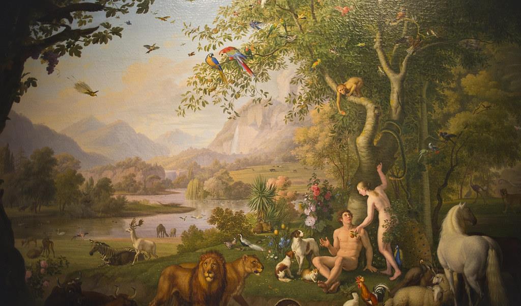 了解生物发展史,第一颗蛋是怎么来的?先有鸡还是先有蛋?