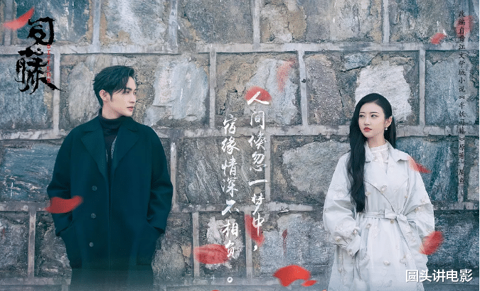 张柏芝|正在热播的六部电视剧：你若一部都没看，真替你表示遗憾！