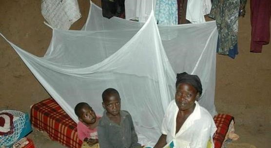 非洲引進“中國蚊帳”，本以為會大有用處，沒想到差點釀成悲劇-圖3