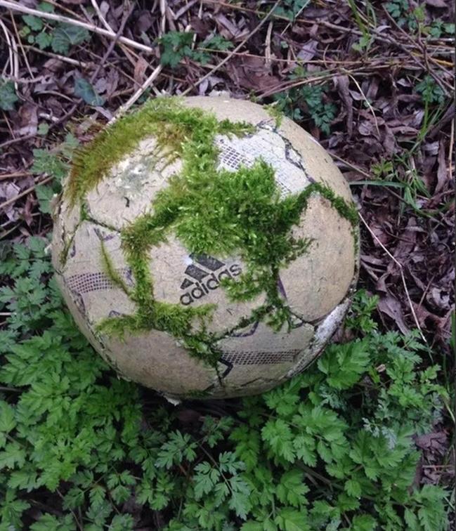  大自然的力量有多大？15张图看清，在自然面前，人类文明太渺小了