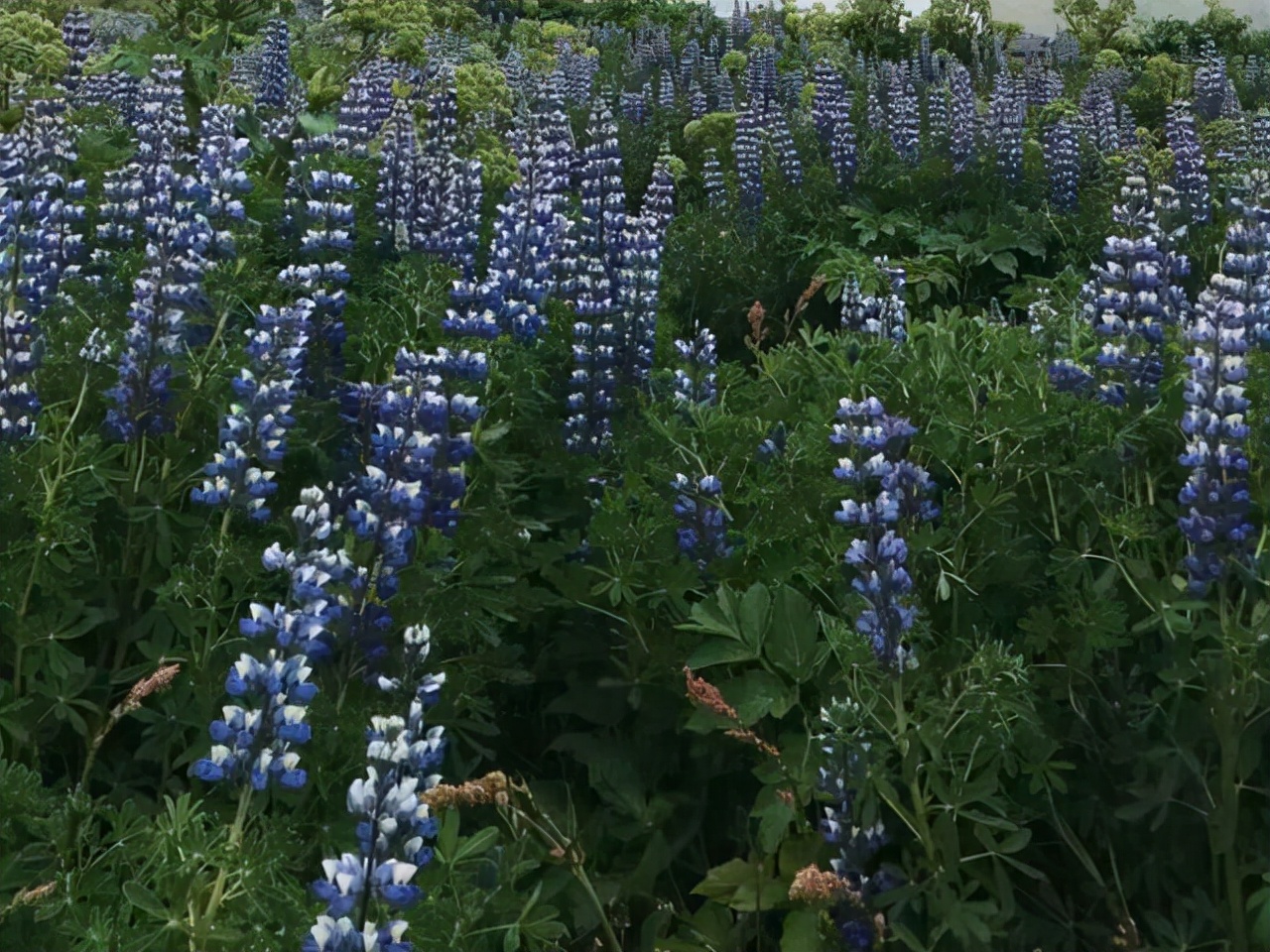 星座师安达|金牛座再爱一个人，也不会失去的原则有哪些？