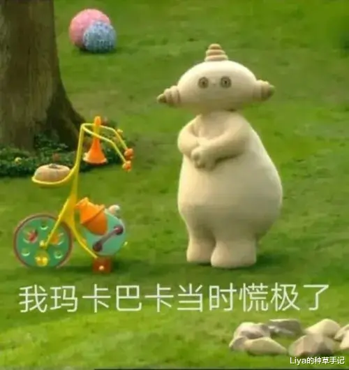 小红书 冬天别披头散发了，这6款发型才够美够撩人