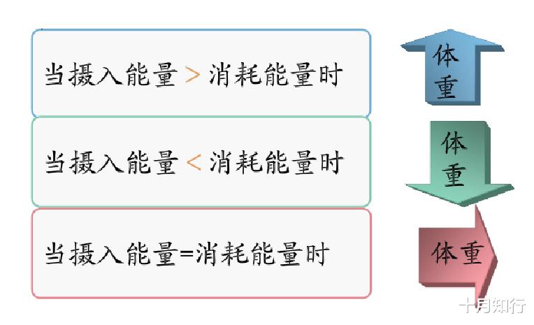 运动 什么是平台期,减肥为什么会出现平台期,如何尽快突破?