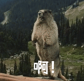 护理 减脂那些要避开的坑，你知道吗？