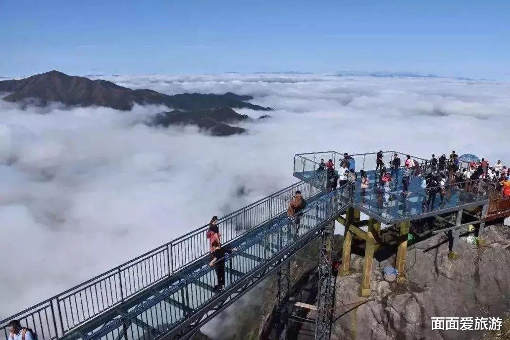 上海市|连山冷门景区，开发时间短更是知之甚少，野花怒放云雾缭绕