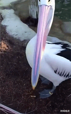 时尚炫点 “如何委婉问小姐姐是否是生理期?”