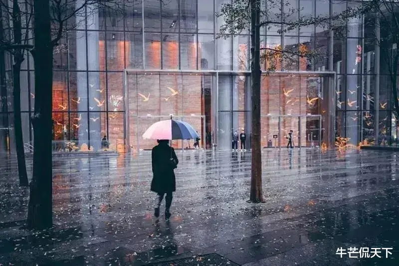 灵魂摆渡|江苏网红主播一女侍三夫，惊人细节曝光：没有羞耻心，真的很可怕