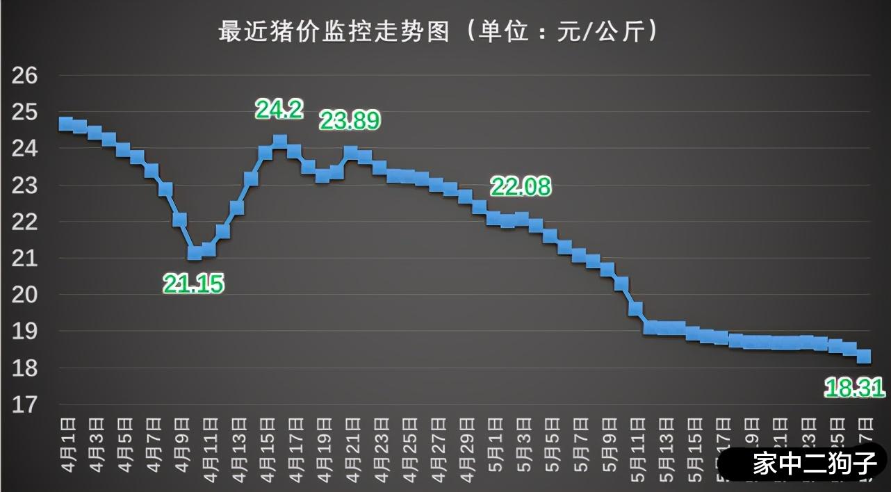 比特币 猪价破新低，一头生猪亏一千？压垮猪价的背后，不止猪多那么简单