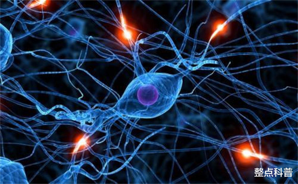 临终告别需谨言慎行?科学家:人在死亡后仍能听到周围的声音