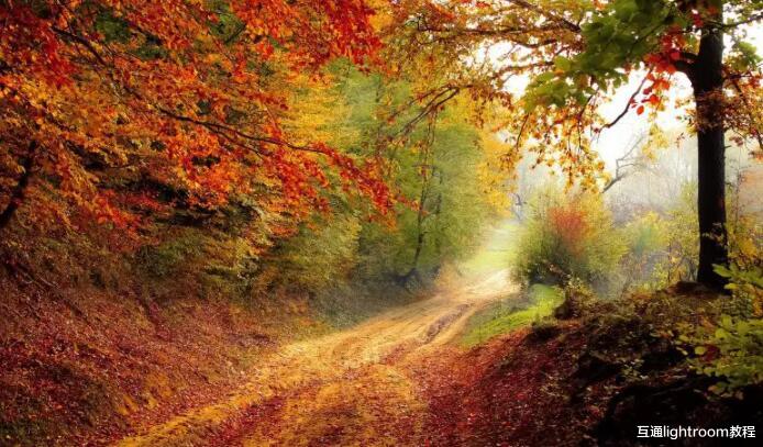 摄影构图|4种风景摄影构图技巧，助你选择合适的焦点