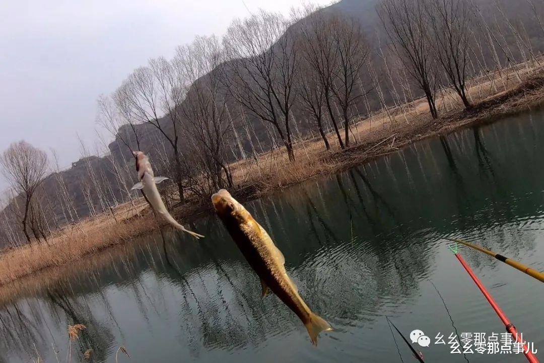 幺幺零那点事儿 北京怀柔战柳根，放流使我更快乐！野钓乐享山水，做环保钓鱼人