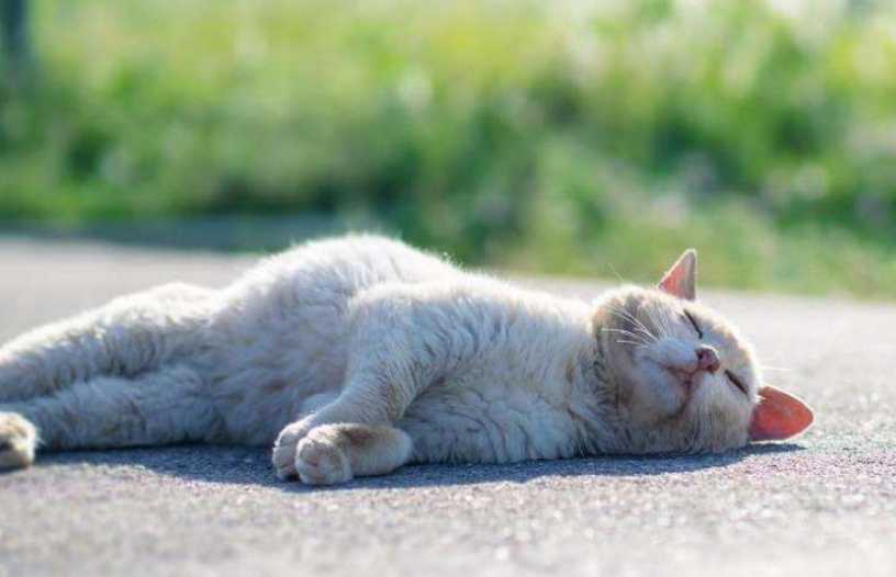 大寒|大寒来临前，记得做好3件事，散去身上的寒气，温暖过冬身体棒