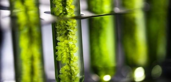 核聚变 太阳每秒消耗420万吨物质,为何太阳还没烧完?