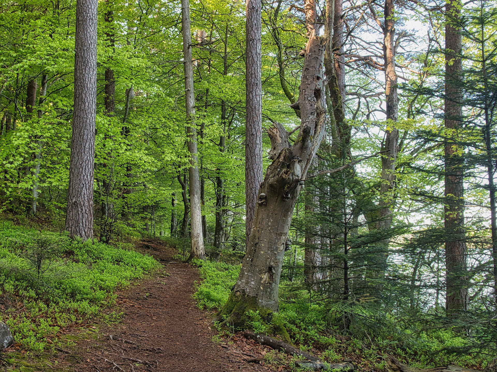  大自然的美丽不是一句话就能概括的！