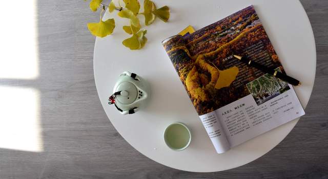 天然又环保的橙舍简约茶几，让家多一丝亮色