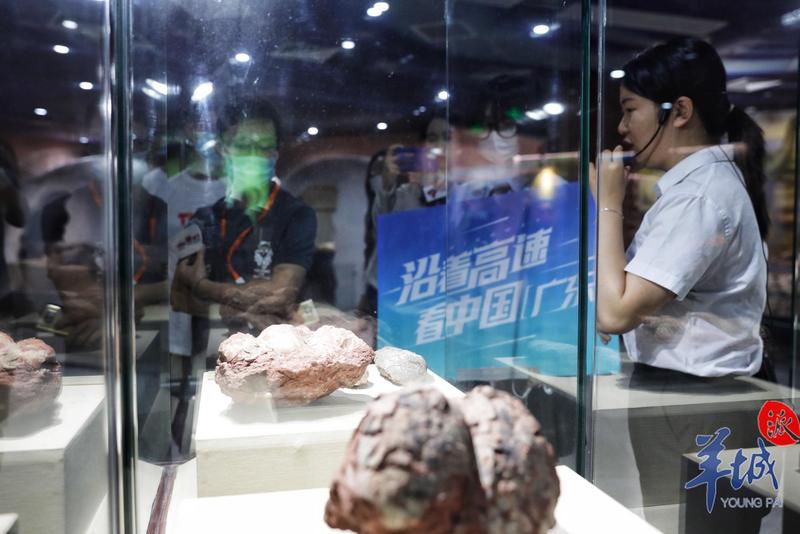 羊城派 高速路加持，河源恐龙IP成湾区热点   沿着高速看中国（广东）