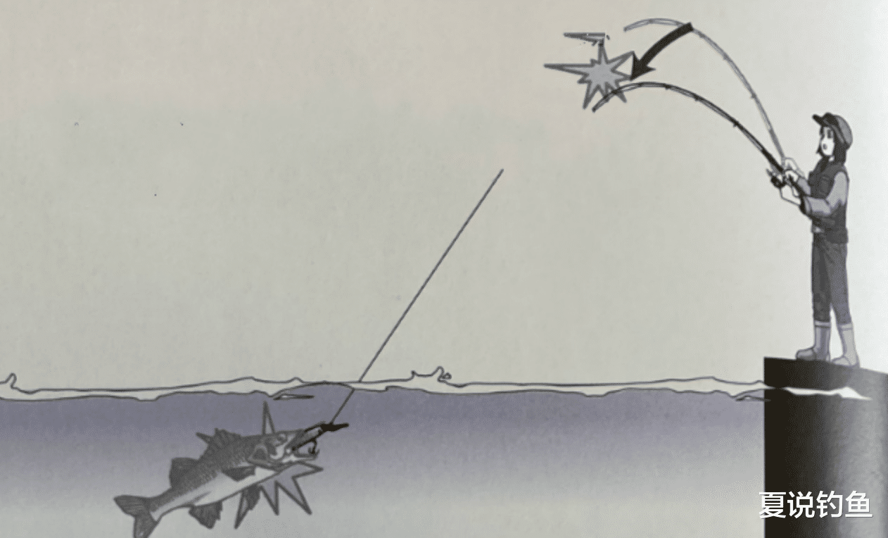 日本|[路亚钓] 日本专业钓鱼书籍，中鱼后收钩要领