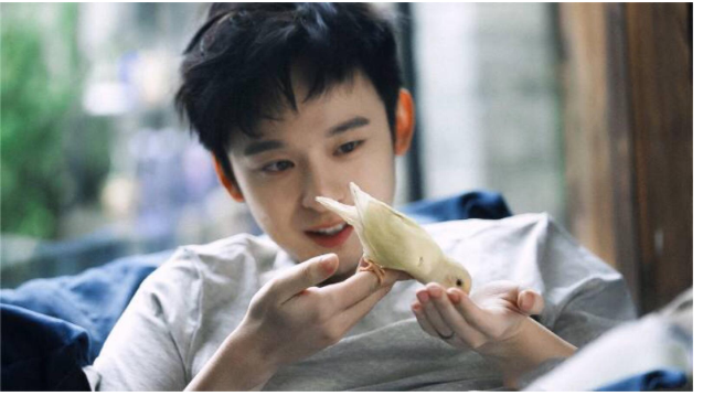 娱乐圈|他是娱乐圈隐形“太子爷”，24岁娶到今生挚爱，今凭实力圈粉