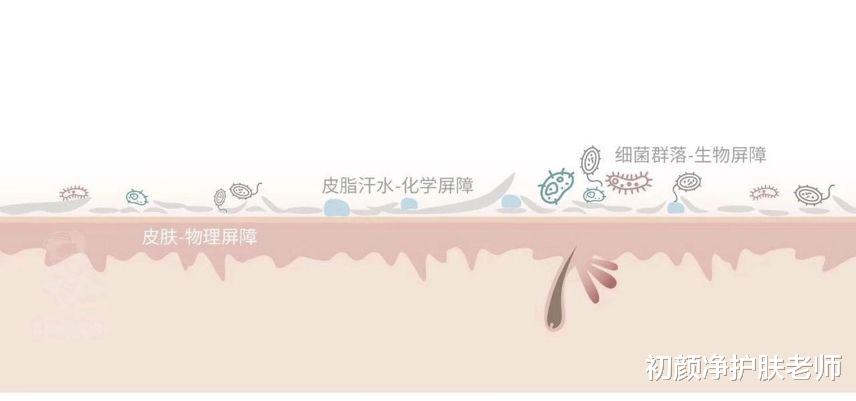 非主流 干货｜关于皮肤屏障和护肤真相！