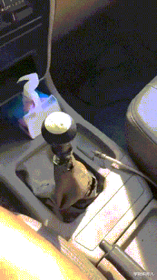 学姐说育儿|“记得以前背书的时候是登黄鹤楼,怎么变成鹳雀楼了”