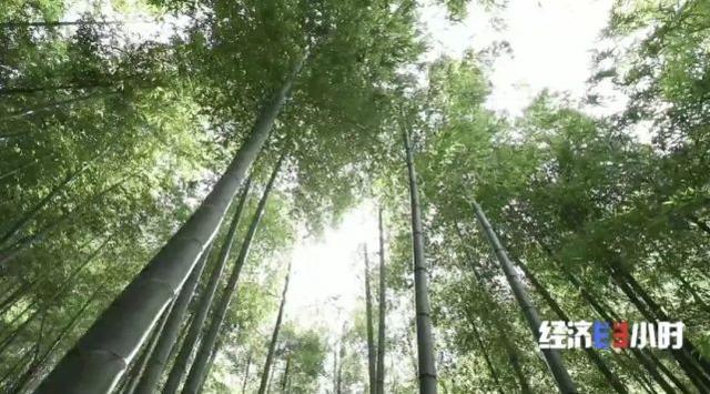 空气也能抵押贷款?真的!六旬老人从银行贷了37万余元:“这辈子真是头一次听说”