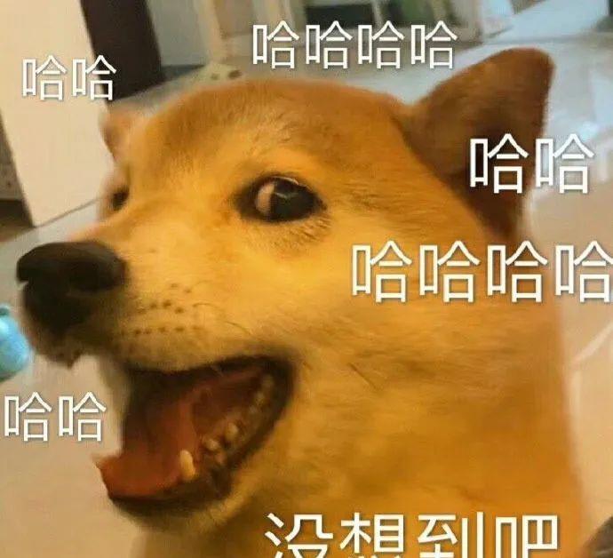 情侣|该安排还是得安排，新家装修你家离舒适安逸，就少一个水吧区！