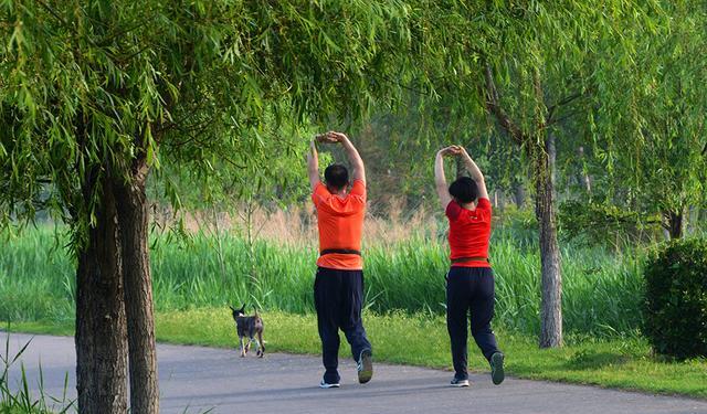 长寿|怎么能长寿怎么生活能长寿