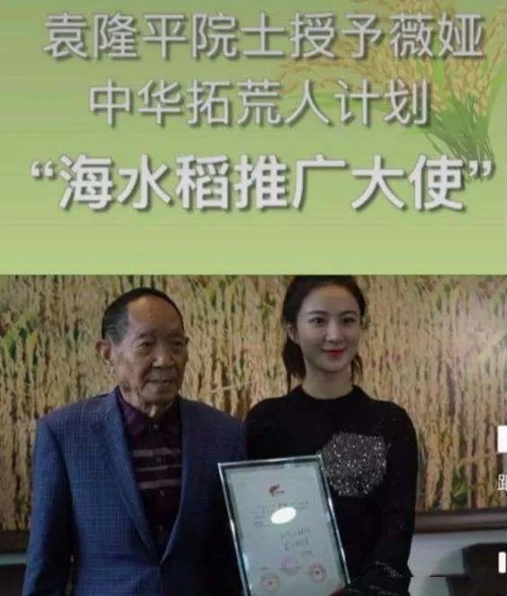 薇娅|直播2年身价90亿，富比十个百强县，薇娅直播王国覆灭，败在哪里？