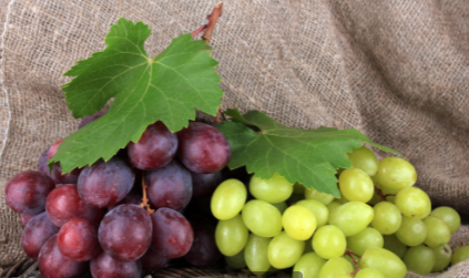 豆腐|经常吃葡萄的人，身体一般不会太差，医生：2类人尽量别吃