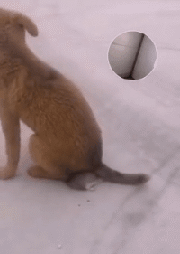 |“跟男友第一次住宾馆，洗澡间挂个毛笔啥意思？”哈哈哈