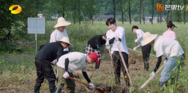 郭晶晶|李维嘉等9个明星干活4小时，蹲地吃最简单的面，黄磊是否太敷衍？