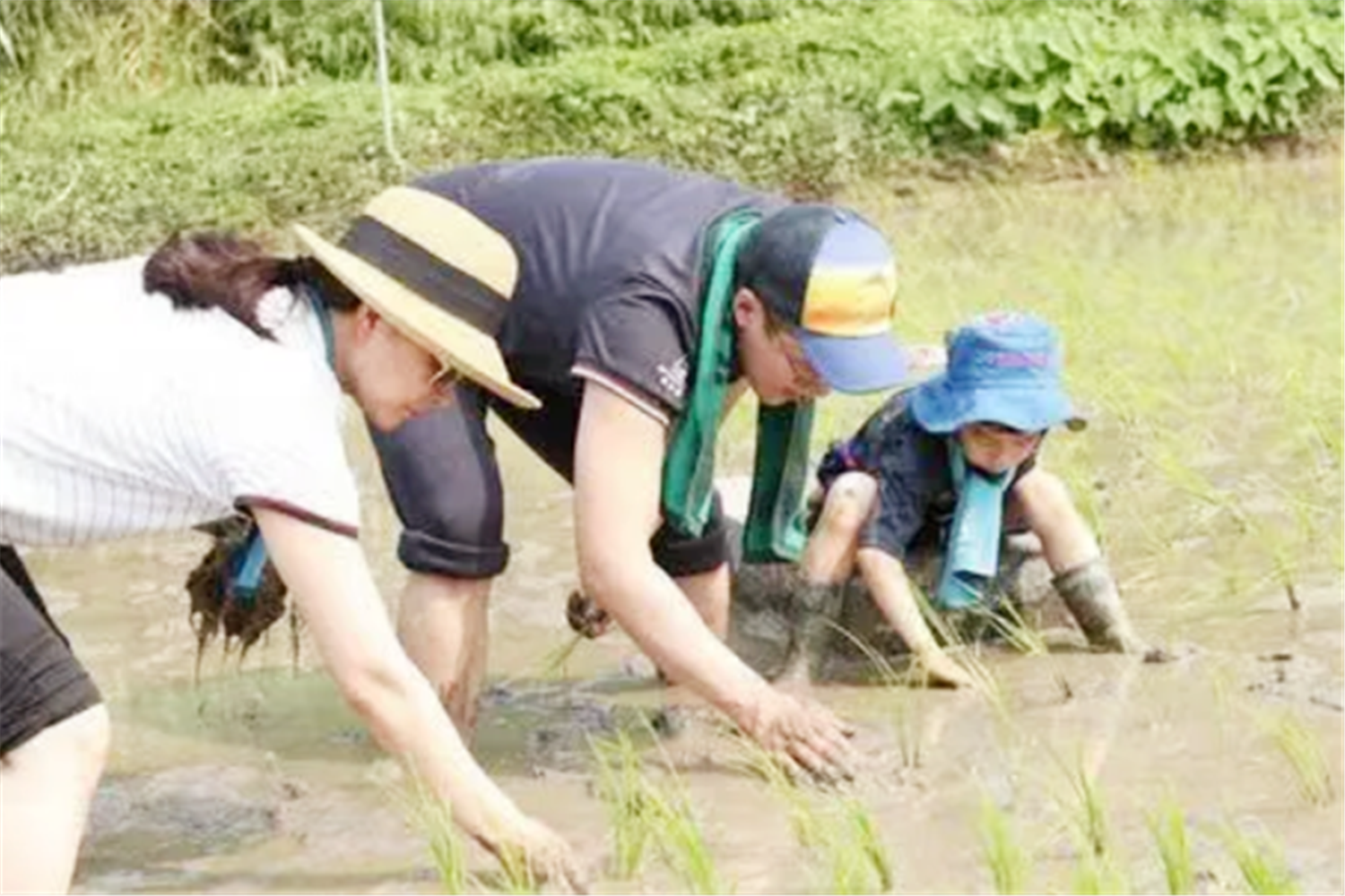 郭晶晶|霍家“豪门晚餐”曝光，一家人围坐吃火锅，郭晶晶手腕成亮点