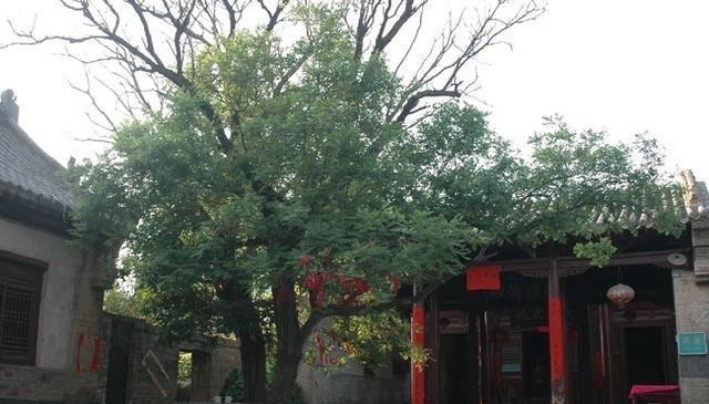 秦岭 获嘉县两个知名旅游景区介绍