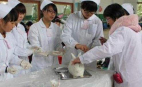 医学生|大一女医学生充分展现“初生牛犊不怕虎”，男同学们都避之不及