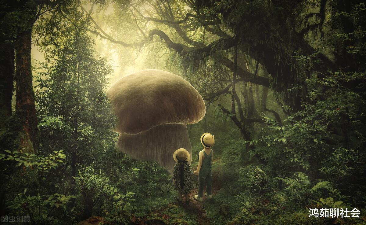 世界上已知的最大生物是什么?并非是深海巨兽“蓝鲸”,而是“它”!