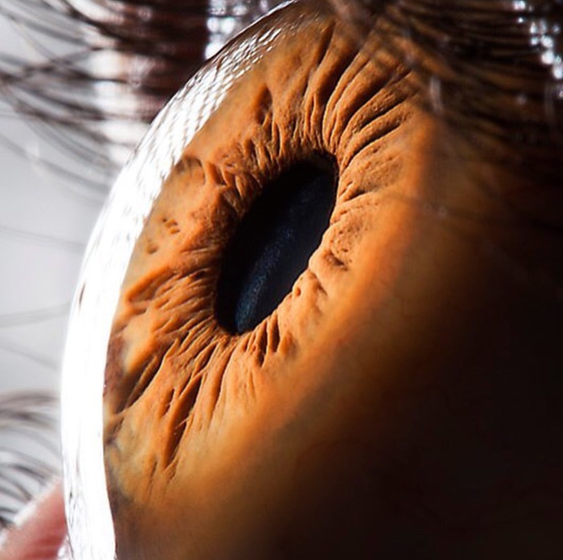 人类眼睛的秘密：人眼像素高达5.76亿，这到底意味着什么？