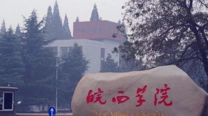 招聘|“博士才能享受140万安家费待遇”，这句话完美诠释低学历的廉价