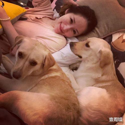 萧亚轩|萧亚轩被狗咬伤住院一个月，男友黄皓伤势严重，将面临毁容？