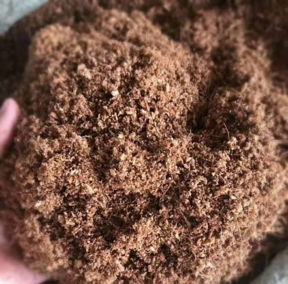 说说家装那点事儿|什么是进口泥炭土？跟我国黑土有啥区别？区别大着呢，别乱买
