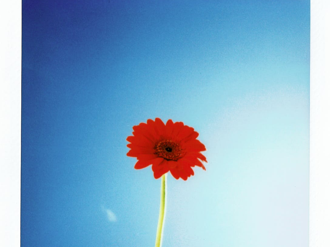 天亮了|“要不是你勾引他，我老公怎么可能会出轨”