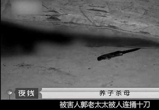 小伙连捅十刀将母亲杀害,搬石头砸烂母亲的头,被抓后:她抢我刀